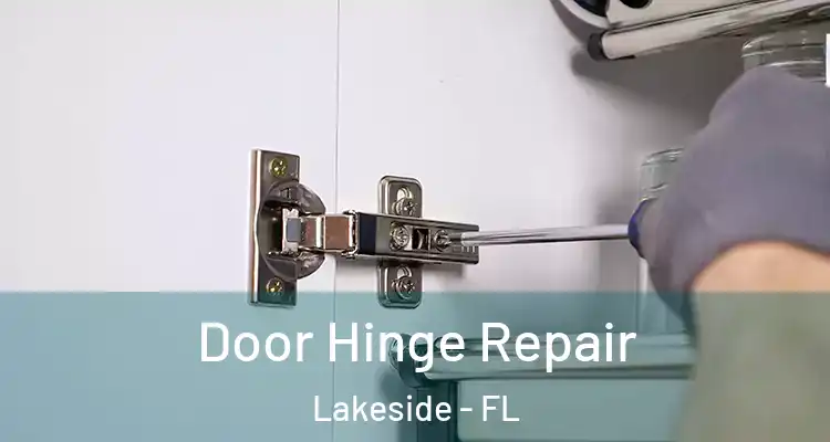  Door Hinge Repair Lakeside - FL