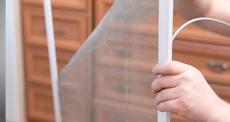 Privacy Mesh Screen Door Installation in Lakeside, FL