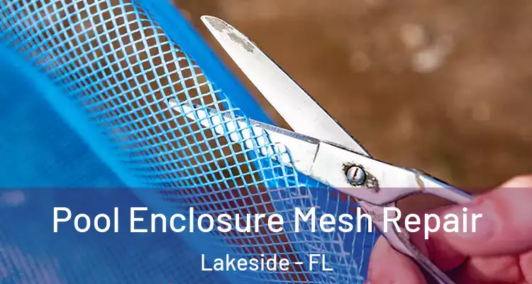  Pool Enclosure Mesh Repair Lakeside - FL